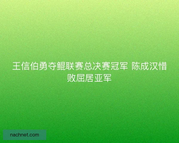 王信伯勇夺鲲联赛总决赛冠军 陈成汉惜败屈居亚军
